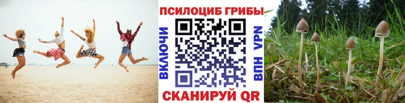 купить закладку  omg рабочий сайт  Псилоцибиновые грибы Cubensis  дарк нет официальный сайт  Инсар 