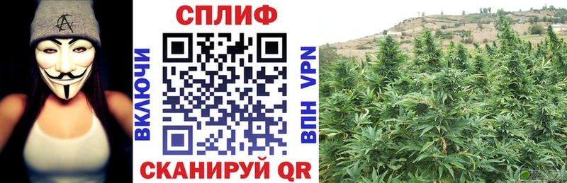 Марихуана индика Инсар